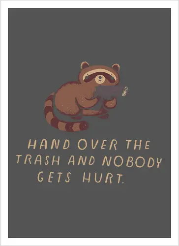 Raccoon