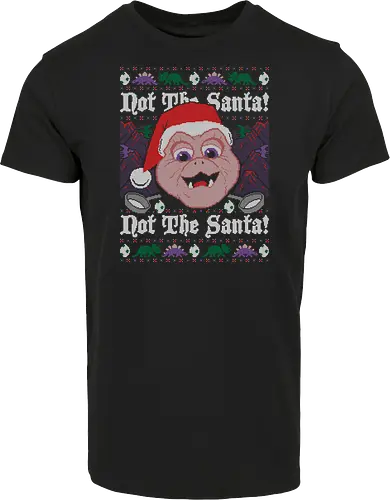Not the Santa!