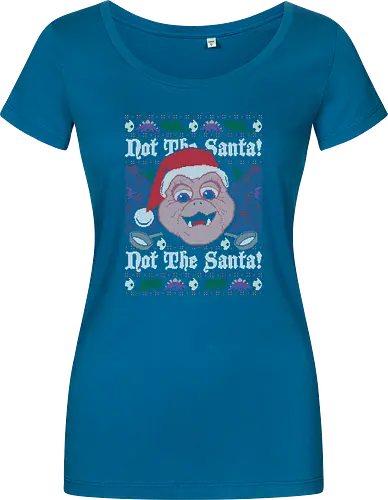 Not the Santa!