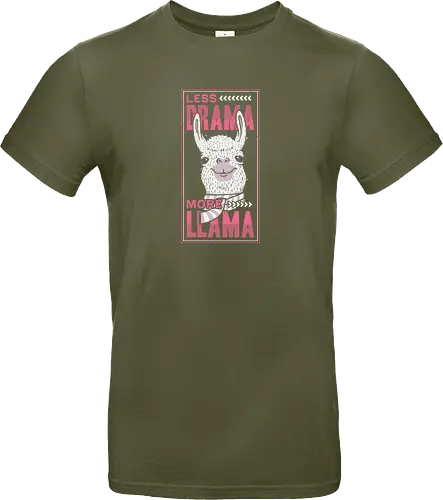 Less Drama, More LLama