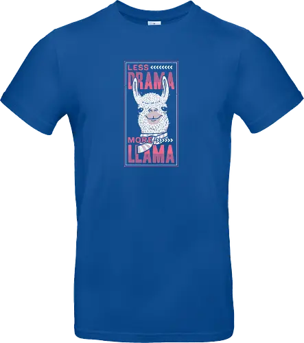 Less Drama, More LLama