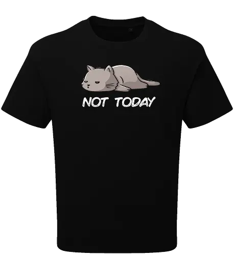 Not Today Cat