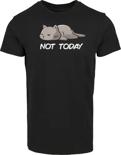 Not Today Cat