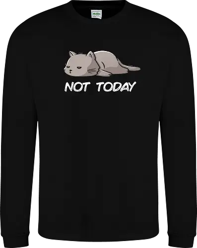 Not Today Cat