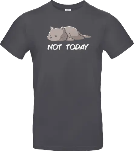 Not Today Cat