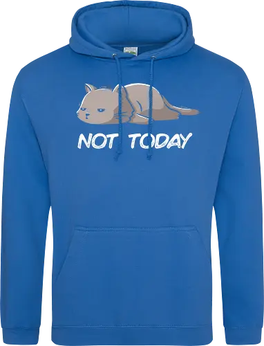 Not Today Cat
