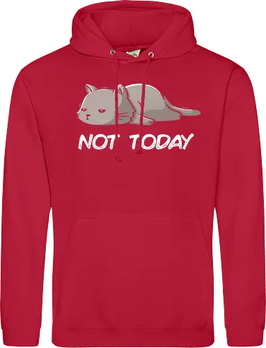 Not Today Cat