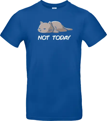 Not Today Cat - cat, lazy, katze, not today, nicht heute, unlust, faulheit, neko - Standard T-Shirt