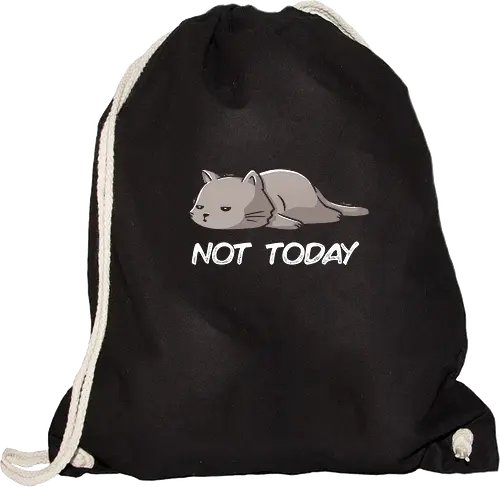 Not Today Cat