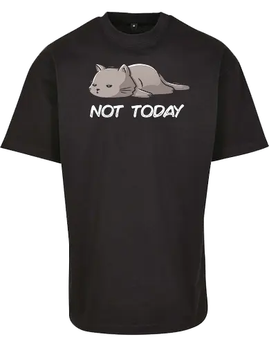 Not Today Cat - cat, lazy, katze, not today, nicht heute, unlust, faulheit, neko - BYB Oversize T-Shirt 