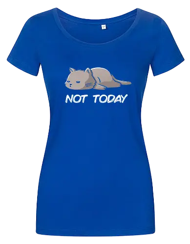 Not Today Cat