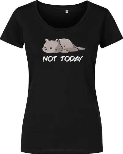 Not Today Cat