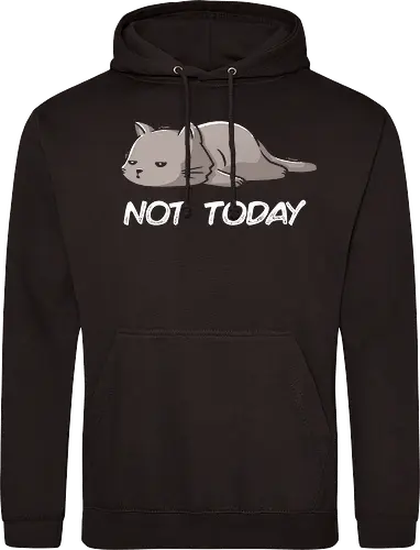Not Today Cat