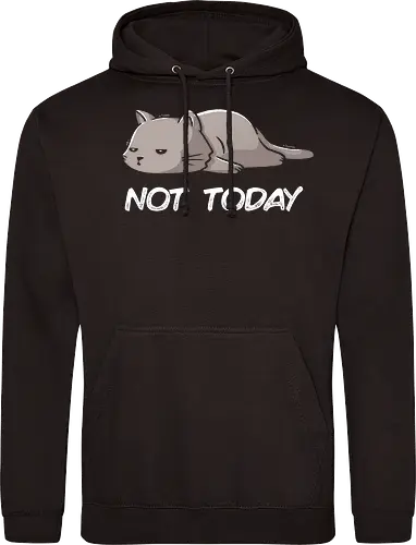 Not Today Cat