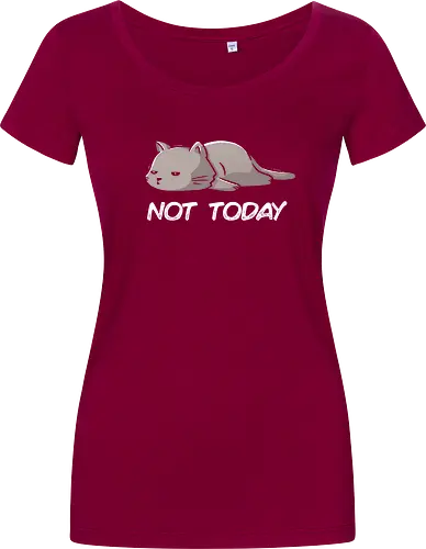 Not Today Cat