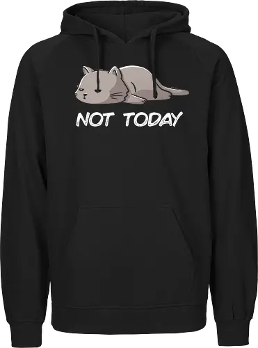 Not Today Cat
