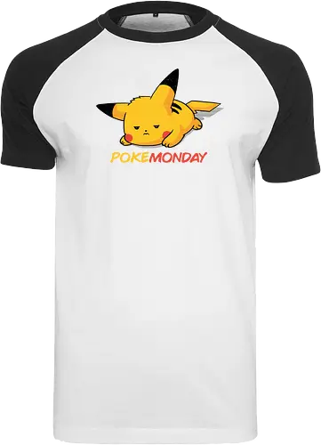 Pocketday