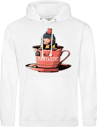 Fantastic T