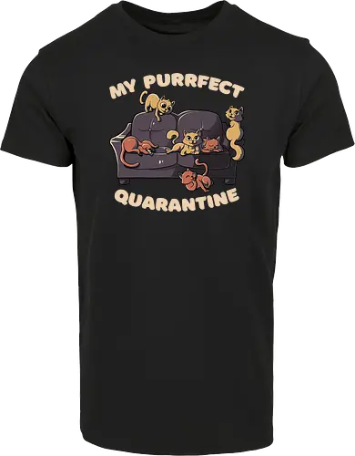 Purrfect Quarantine
