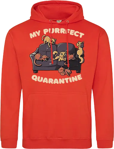 Purrfect Quarantine
