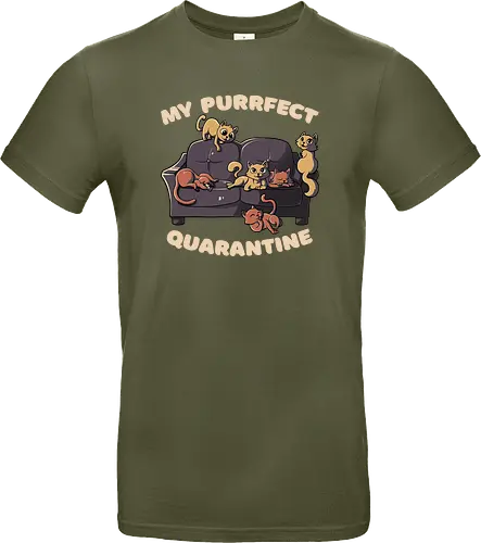 Purrfect Quarantine