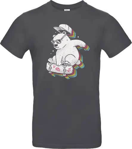 Rainbow Skate Bear