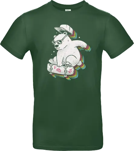 Rainbow Skate Bear