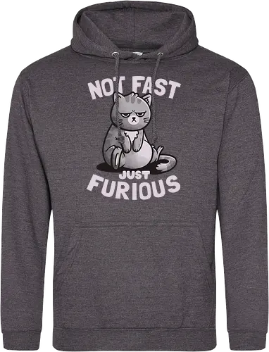 Not Fast Just Furious