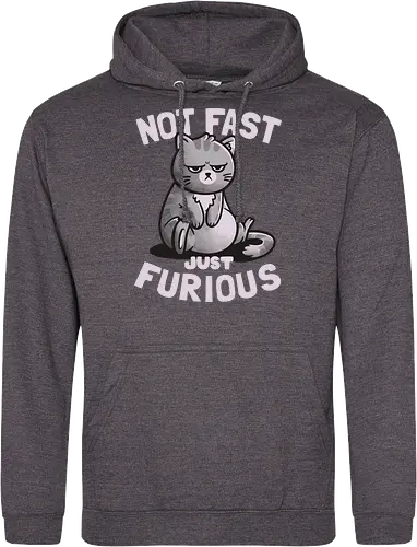 Not Fast Just Furious