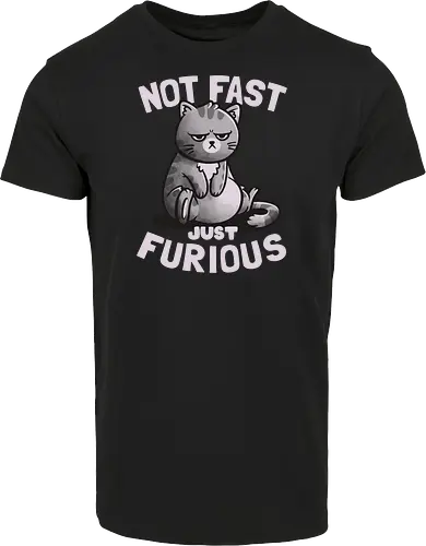 Not Fast Just Furious