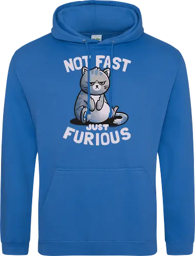 Not Fast Just Furious