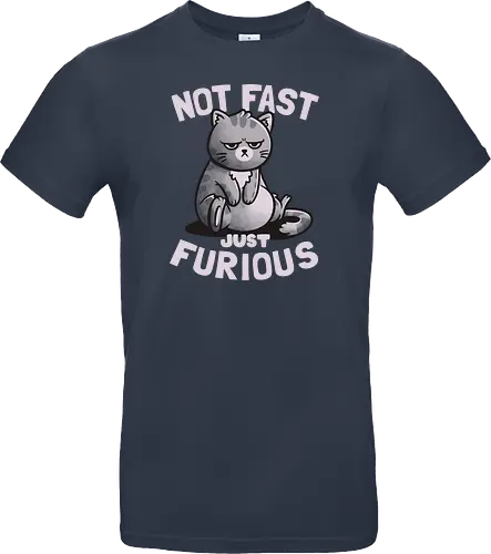 Not Fast Just Furious