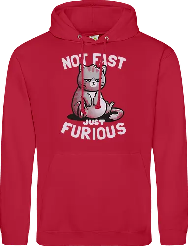 Not Fast Just Furious