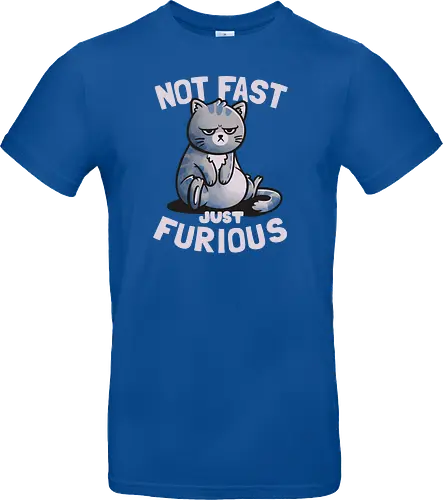 Not Fast Just Furious