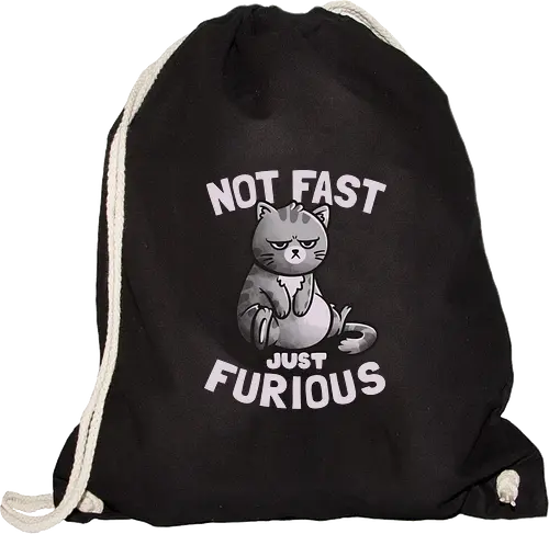 Not Fast Just Furious