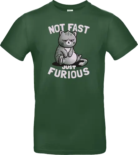 Not Fast Just Furious