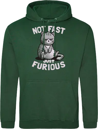 Not Fast Just Furious