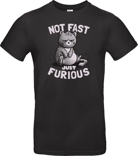 Not Fast Just Furious