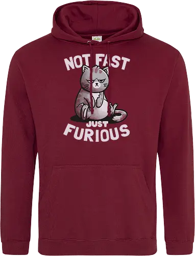 Not Fast Just Furious