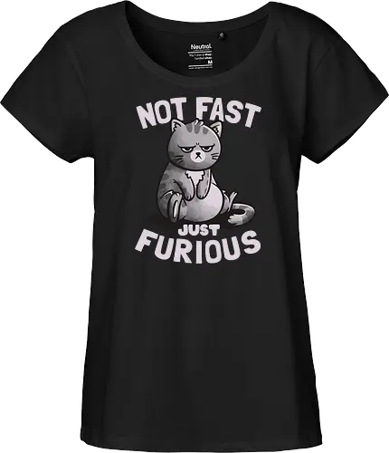 Not Fast Just Furious