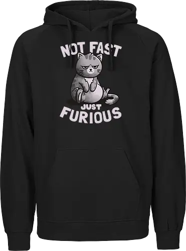 Not Fast Just Furious