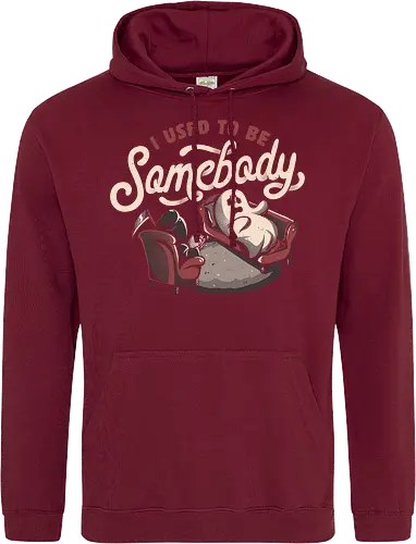 I Used to Be Somebody