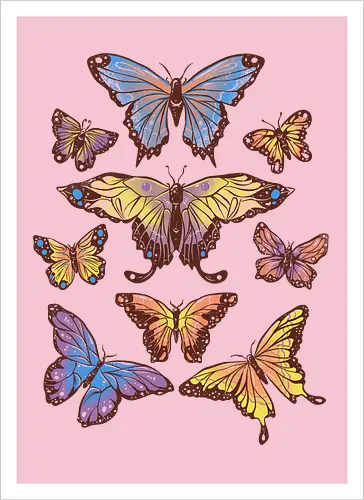 Butterflies