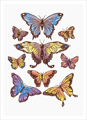 Butterflies