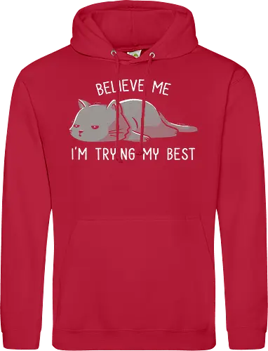 Believe Me I'm Trying My Best