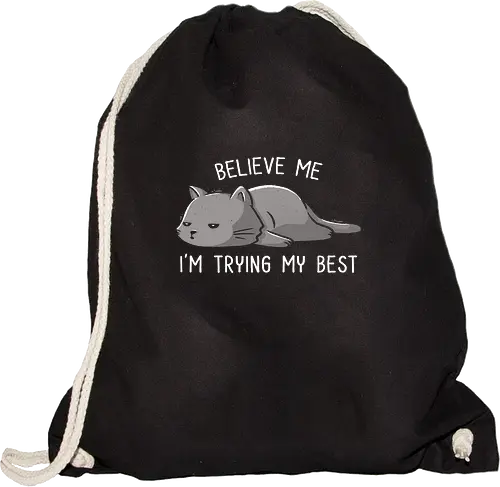 Believe Me I'm Trying My Best