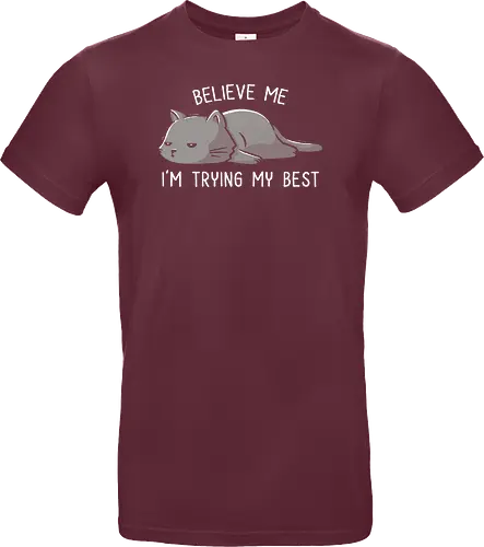 Believe Me I'm Trying My Best