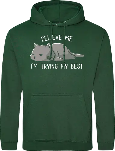 Believe Me I'm Trying My Best