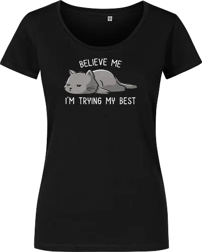 Believe Me I'm Trying My Best