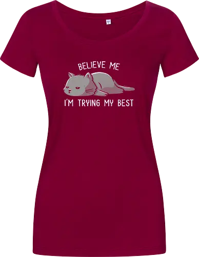 Believe Me I'm Trying My Best